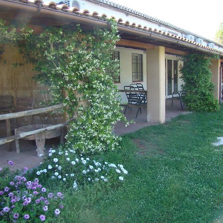 Borgo S.Maria Di Vulci Hostal Montalto di Castro Exterior foto