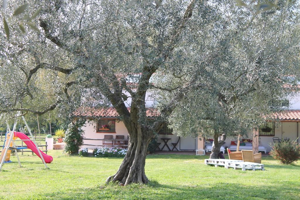 Borgo S.Maria Di Vulci Hostal Montalto di Castro Exterior foto