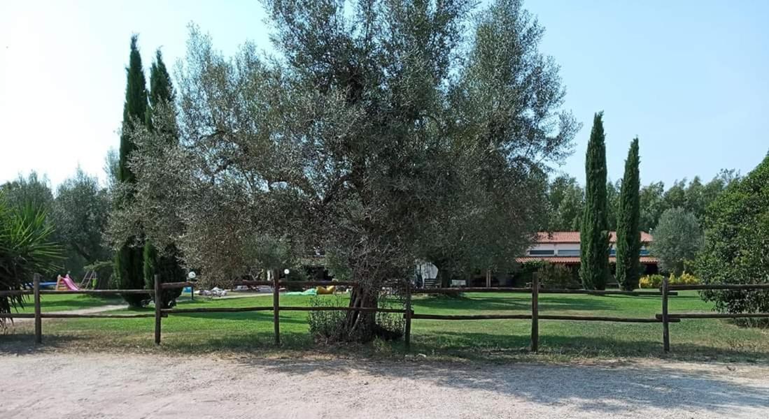 Borgo S.Maria Di Vulci Hostal Montalto di Castro Exterior foto